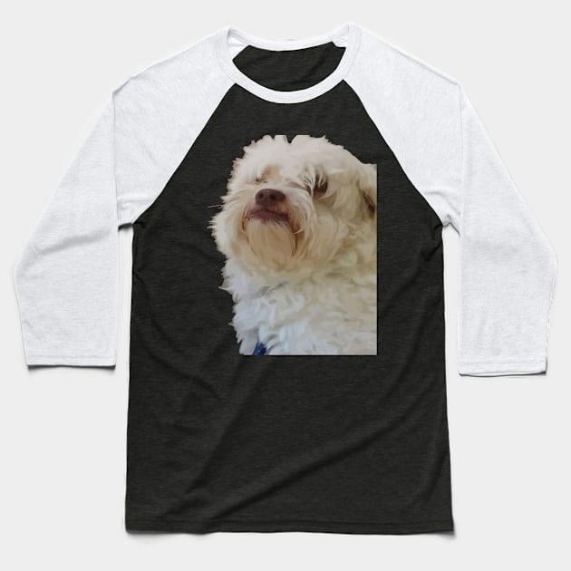 Grumpy Terrier Dog With Long White Hair Covering Eyes Baseball T-Shirt by taiche